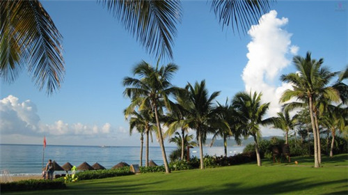 鸡公子御膳叉骨炸鸡