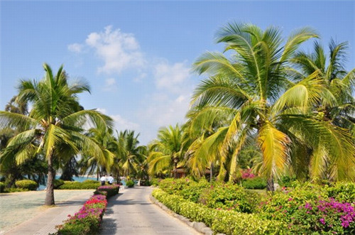 觅甜记港式甜品