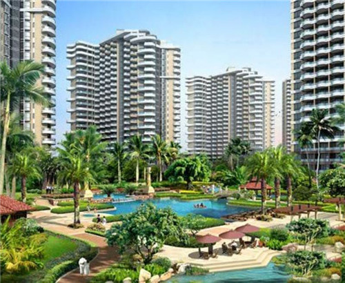 自由兄弟茶油炒饭