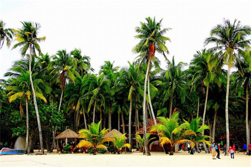 俏哥老式炒鸡大盆骨