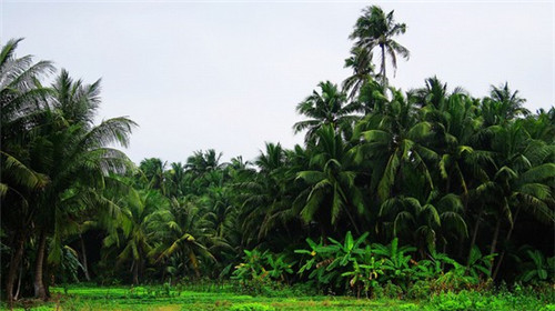 五行缺肉特色肉小食