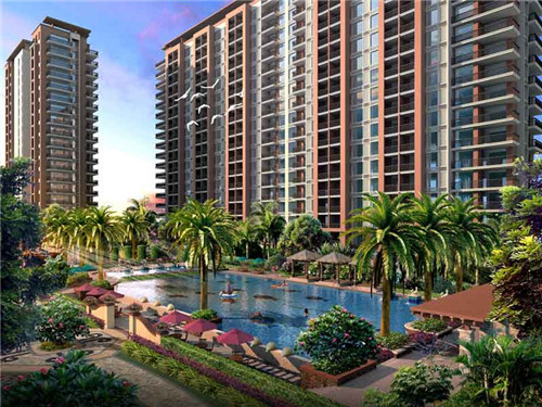 杨记跷脚牛肉面