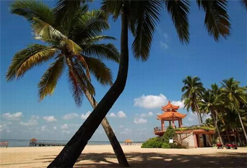 三刀日式分子料理