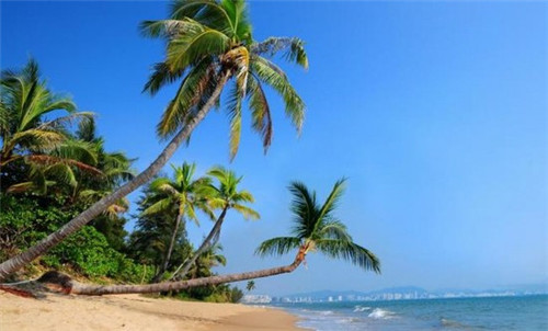 老人头汽车美容c