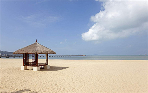 物流设备适合投抖音广告吗（物流设备大全）